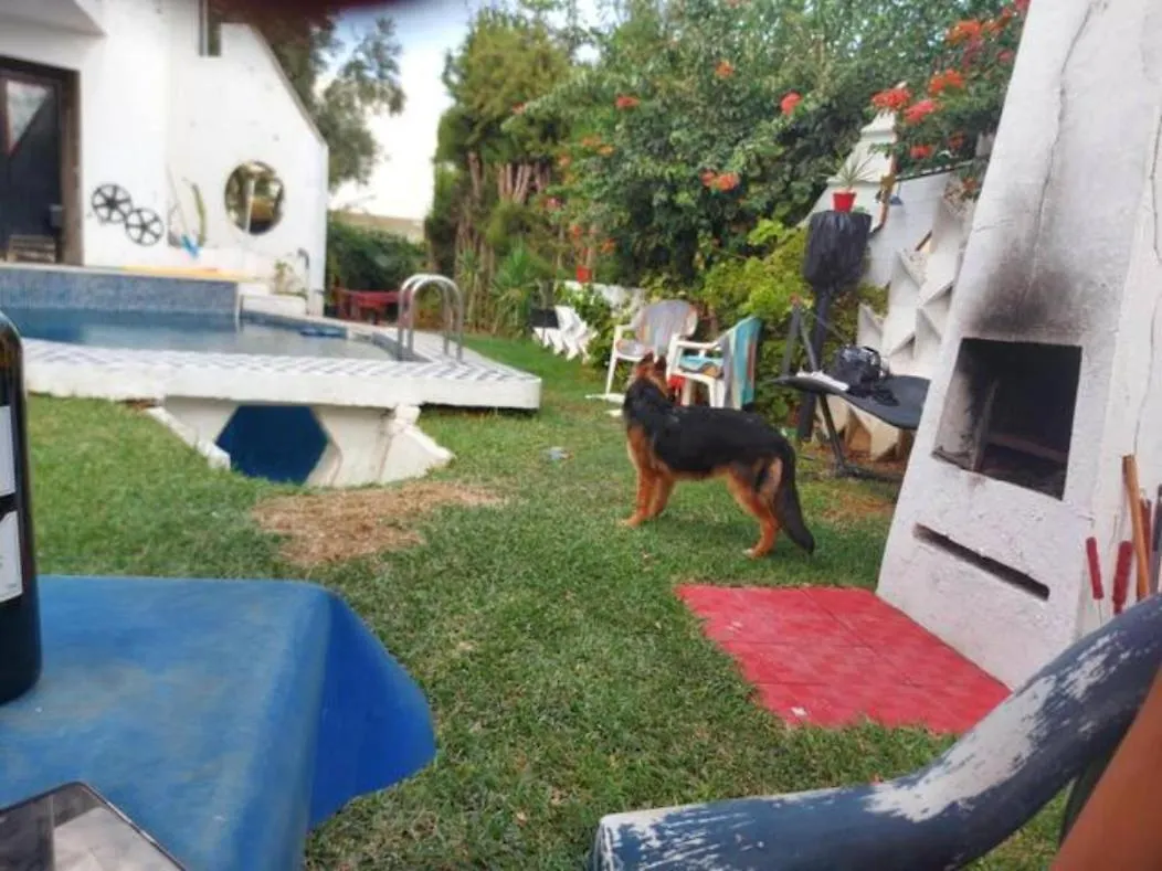 Dar Hamadi بن جامع A Villa & Its Swimming Pool, Looking For Artists In Residence Tunis 0*,